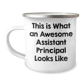 Funny Assistant Principal Gifts, Camping Mug for Men, 'This Is What An Awesome Assistant Principal Looks Like' Quote, Gifts from Friends, Family, Coworkers, Unique Father's Day Unique Gifts - Image 1